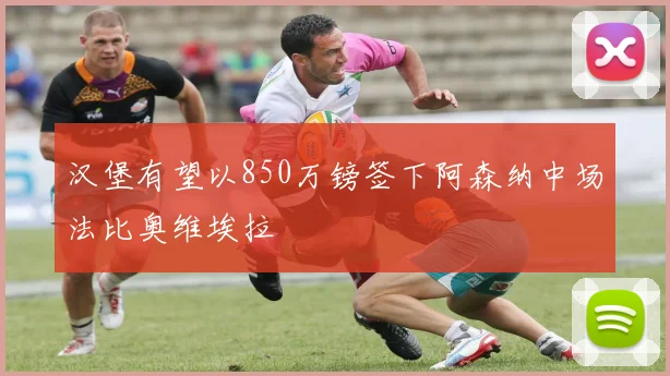 汉堡有望以850万镑签下阿森纳中场法比奥维埃拉