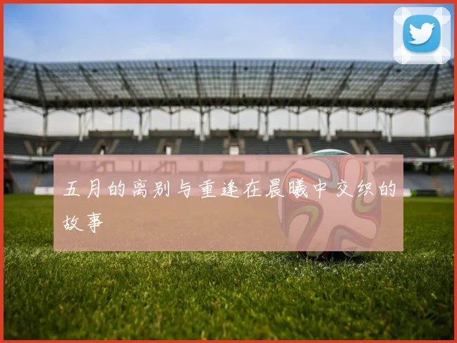五月的离别与重逢在晨曦中交织的故事
